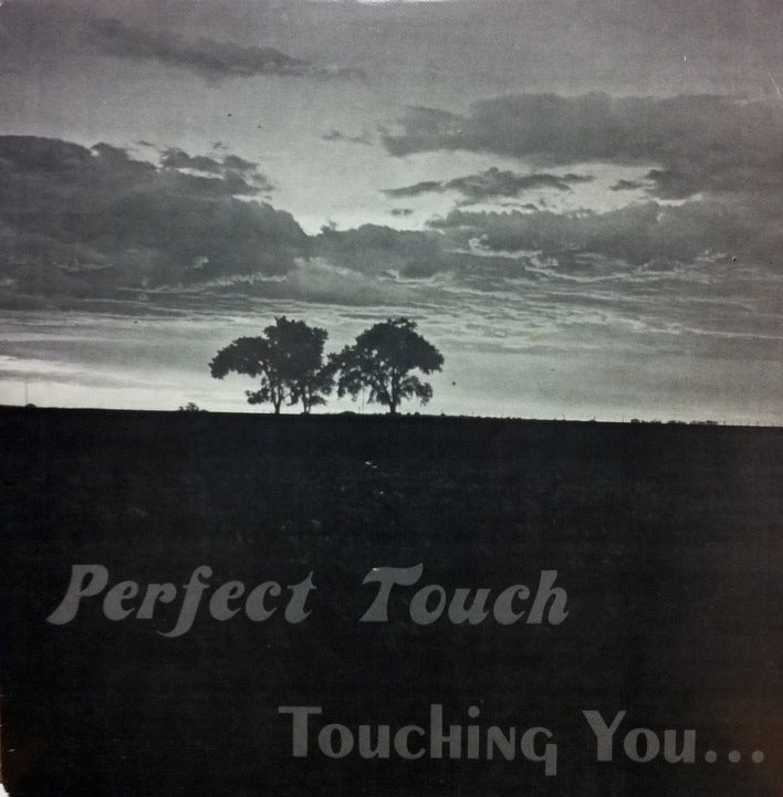 PERFECT TOUCH / TOUCHING YOU – TICRO MARKET