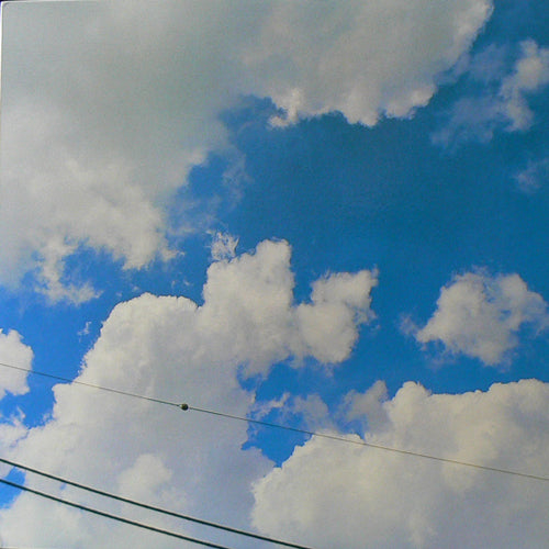 SUNNY DAY SERVICE （サニーデイ サービス） / BEST SKY – TICRO MARKET