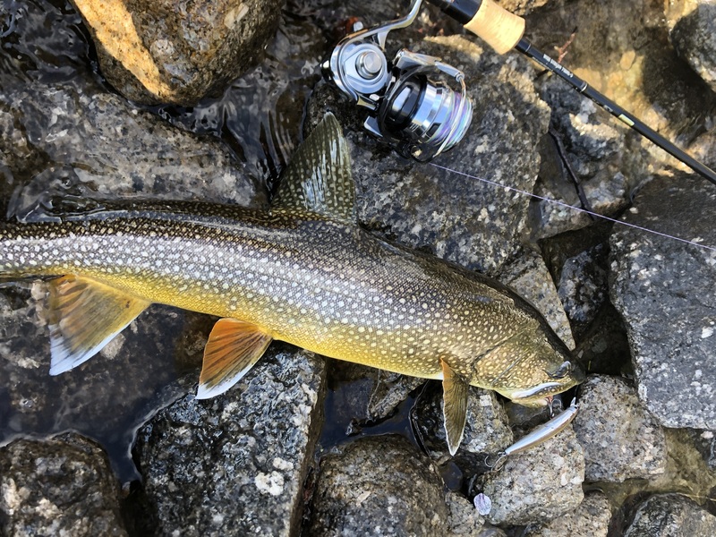 中禅寺湖でレイクトラウトやブラウントラウトを釣ろう！釣れるルアーと