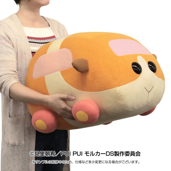 PUI PUI モルカー 大きなハグぬいぐるみ ポテト | A-on STORE