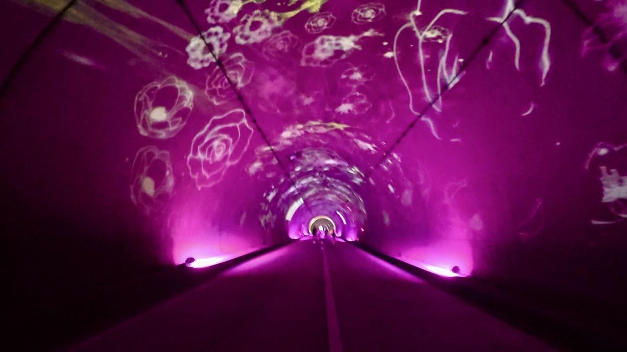 みえ松阪マラソン2025を走ってきた【フル2時間53分46秒】｜ともらん！