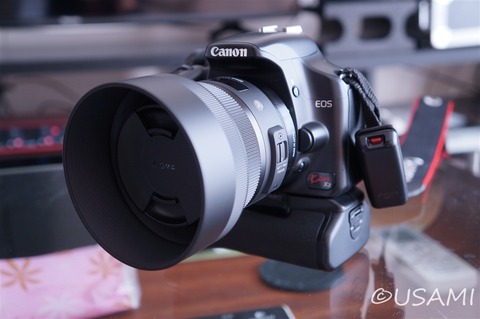 SIGMA 30mm F1.4 DC HSM Artを買った 開封/使用レビュー | ツーリッシュ