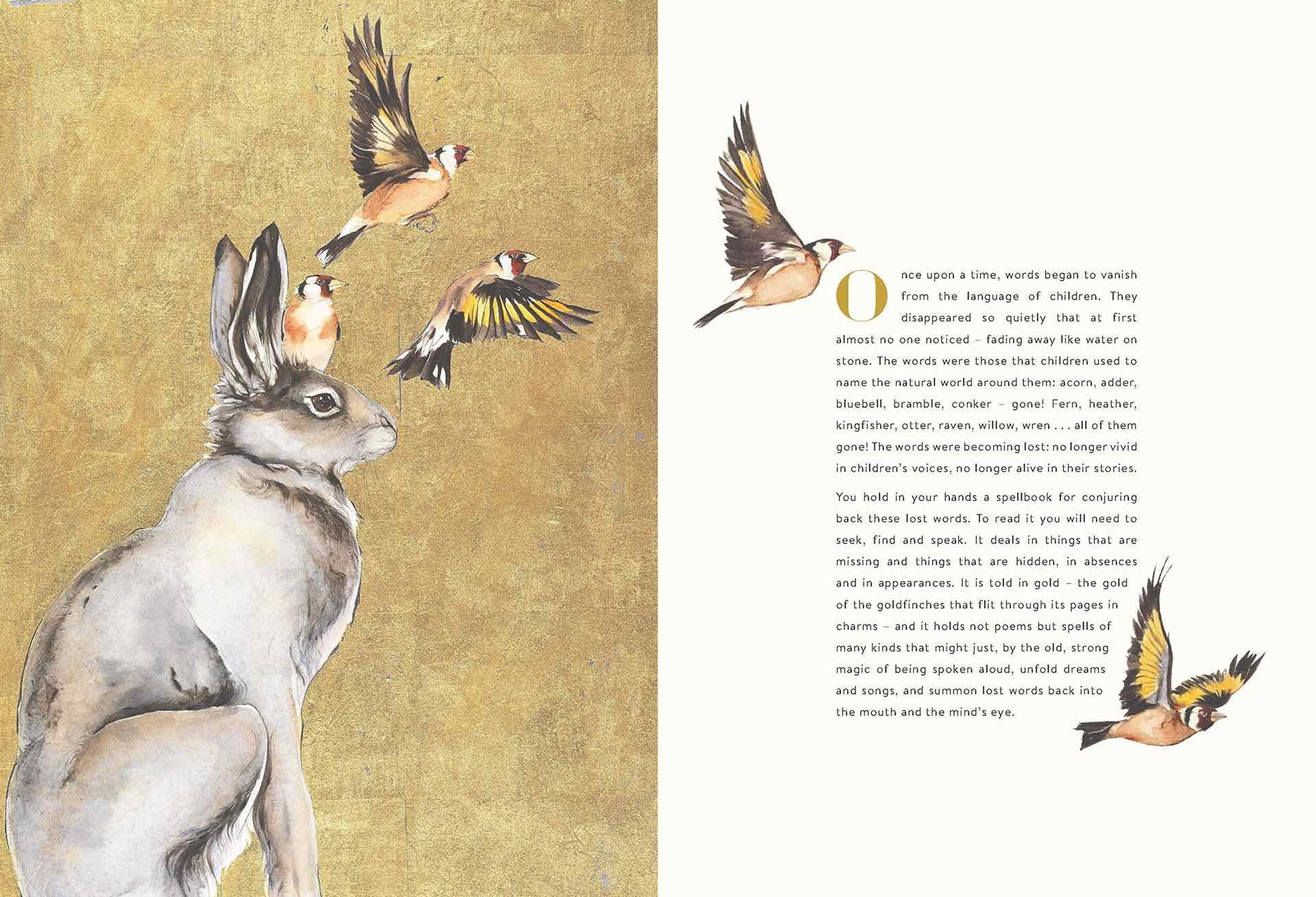 The Lost Words' by Robert Macfarlane and Jackie Morris — Tools and