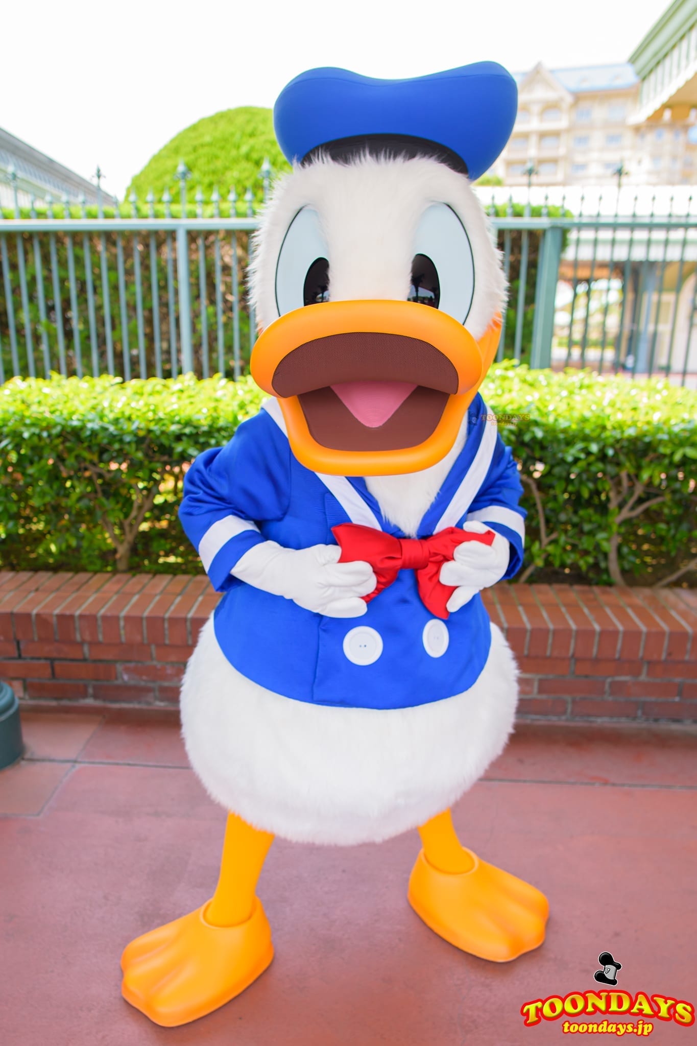 全紹介】ドナルドダック – 会える場所は？ 全グリーティング