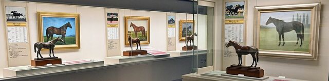 1万頭の気品描く 【連載】青い森と馬⑩ 久保田政子さん（八戸出身