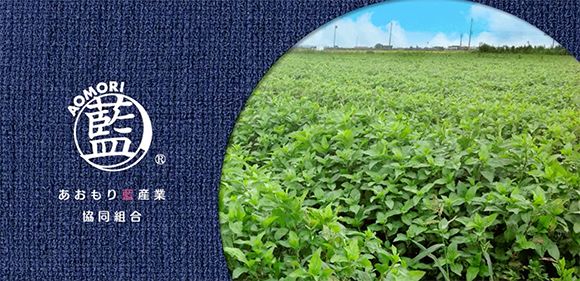 あおもり藍 サージカルマスク（5枚入り） | 特ちゃんショップ