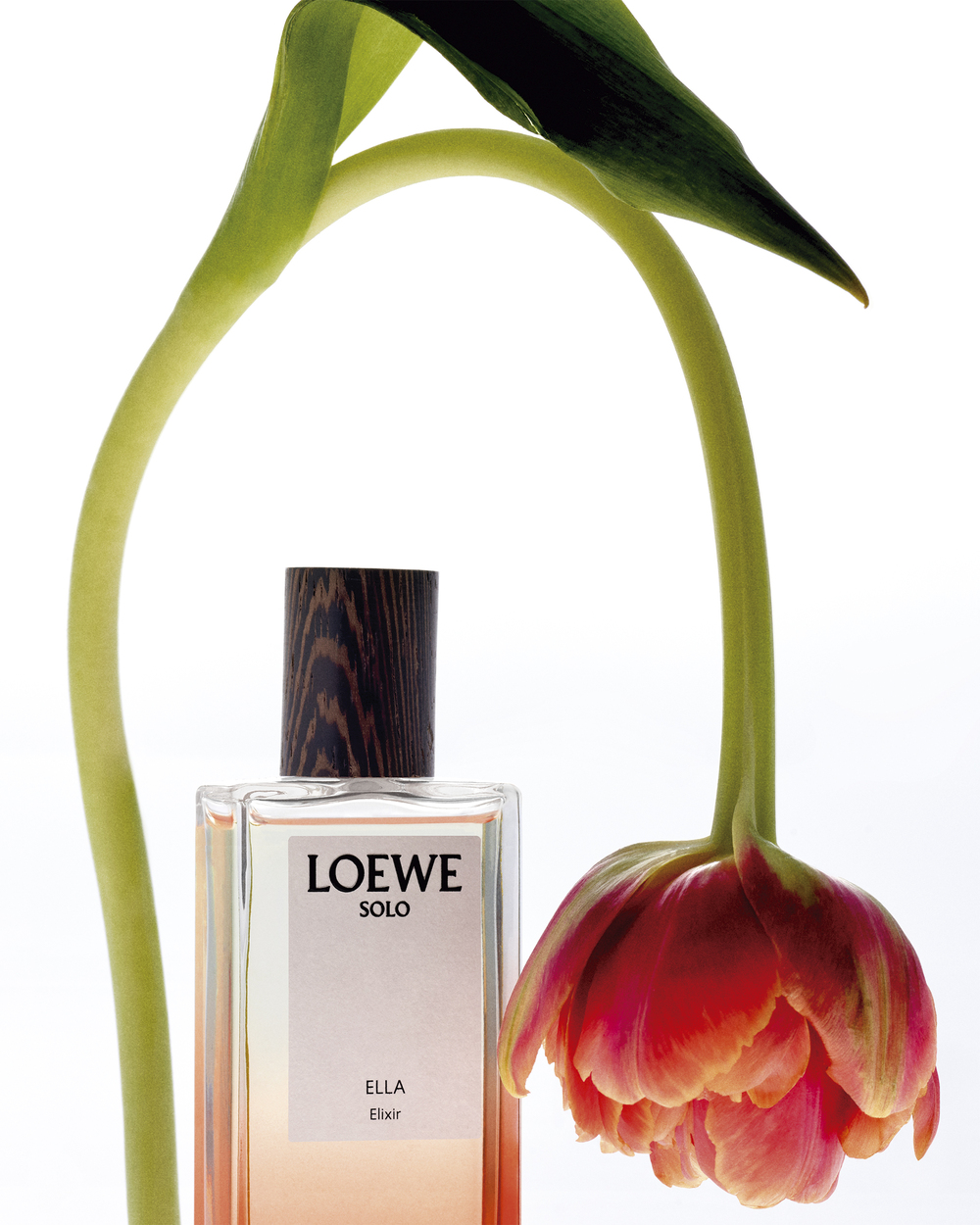 ロエベ フレグランスの新たなカテゴリーとして生まれた、LOEWE Elixirs
