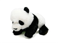 商品詳細ページ