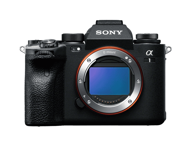 ショット数4543枚！】SONY α7S 初代 レンタル]SONY α7S III | 一眼レフ