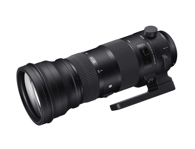 レンタル]SIGMA 150-600mm F5-6.3 DG OS HSM Sports(Nikon Fマウント