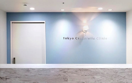 東京シンデレラ美容外科 新宿院 | 新宿・池袋・大宮・横浜で人気の美容