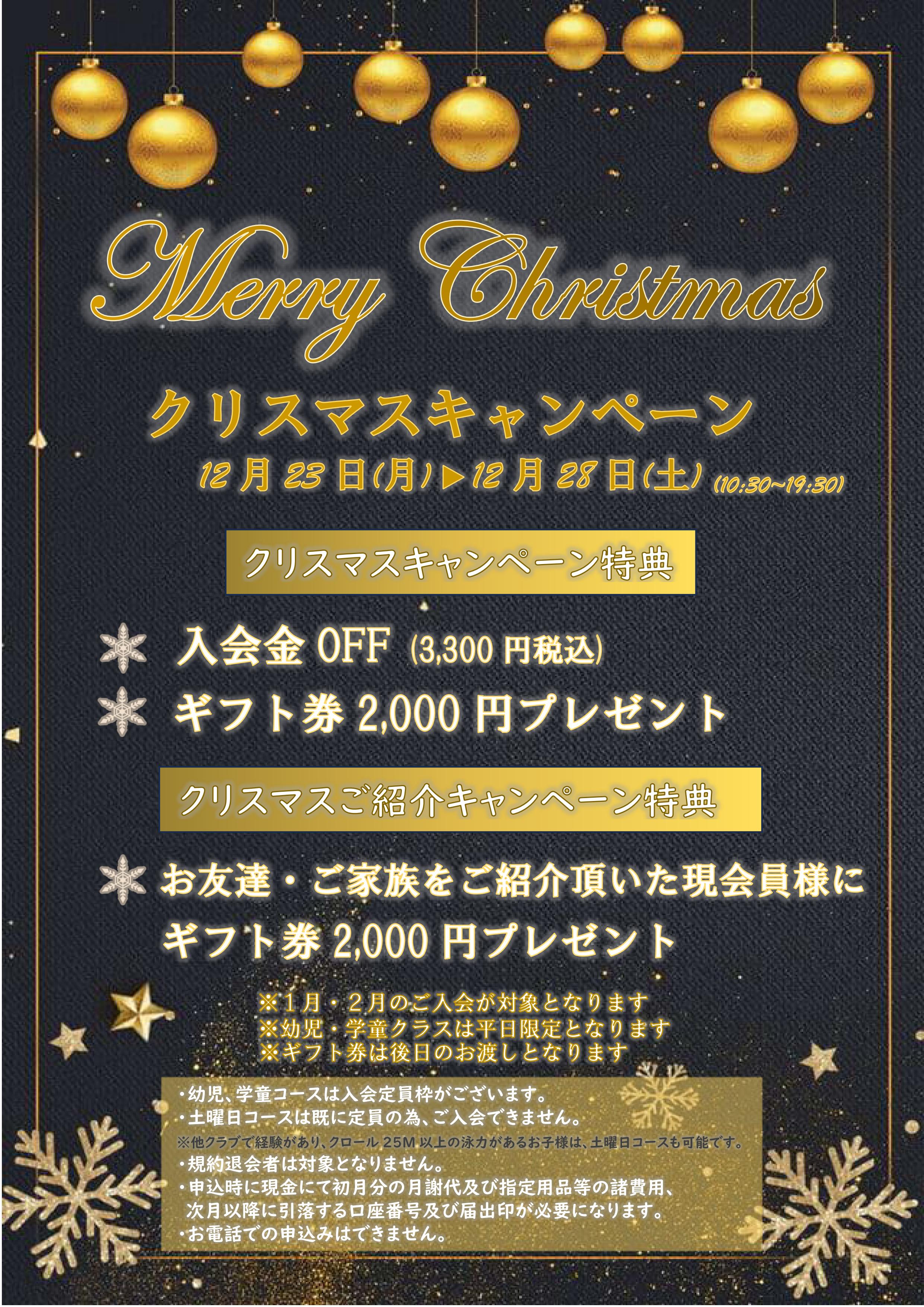 🎄クリスマスキャンペーン🎄 | 東京ドルフィンクラブ 駒沢スイミング