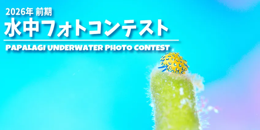 フォトコン投票がはじまります。 | 【東京でダイビングライセンス取得