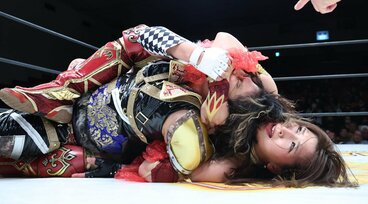 1ページ目】【WWE】米レジェンドで名解説者のジェリー・ローラーが