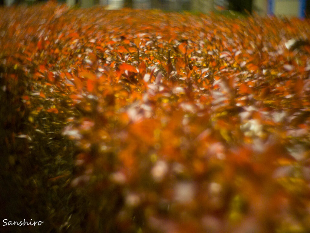 ZUNOW Elmo Cine 13mm F1.1 － ズノー シネエルモ13mm F1.1