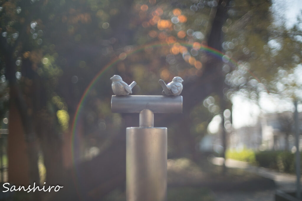 KONICA HEXANON AR 50mm F1.4 － コニカ ヘキサノン AR 50mm F1.4