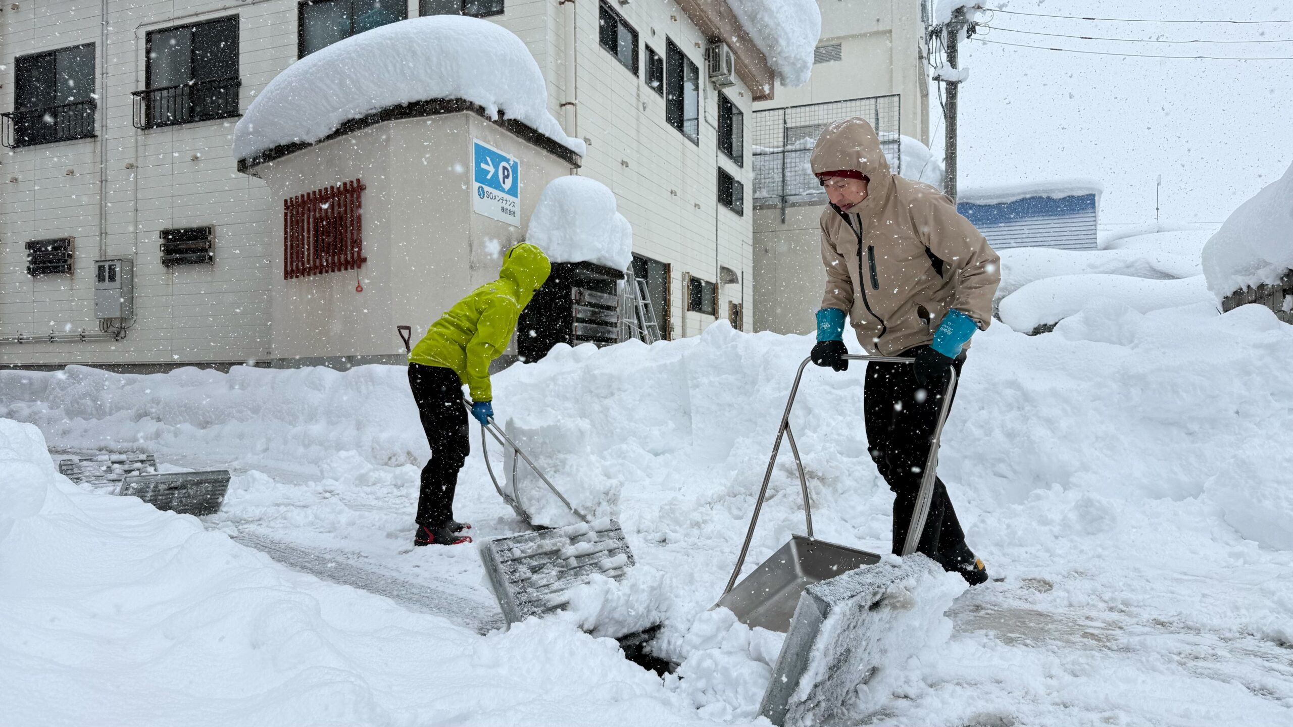 残雪('68日活) 残雪('68日活) 志賀草津高原ルート 雪の回廊の様子 2025年4