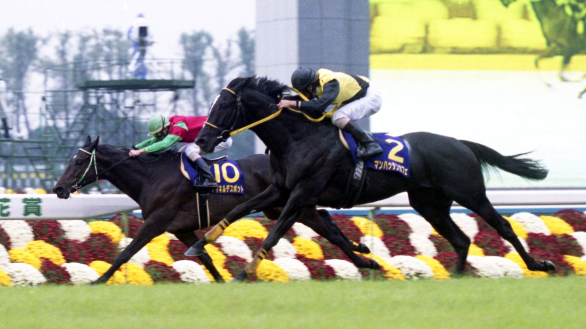 競馬秘宝館】菊花賞〝脅威の上がり馬〟 遅れてきた大物マンハッタン