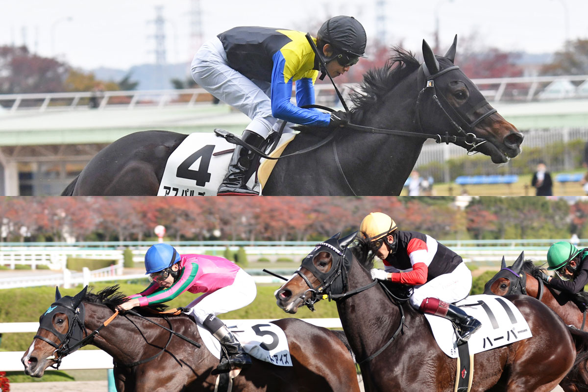 福永祐一が3月4日に阪神競馬場で引退式を実施 入場者先着2万人に