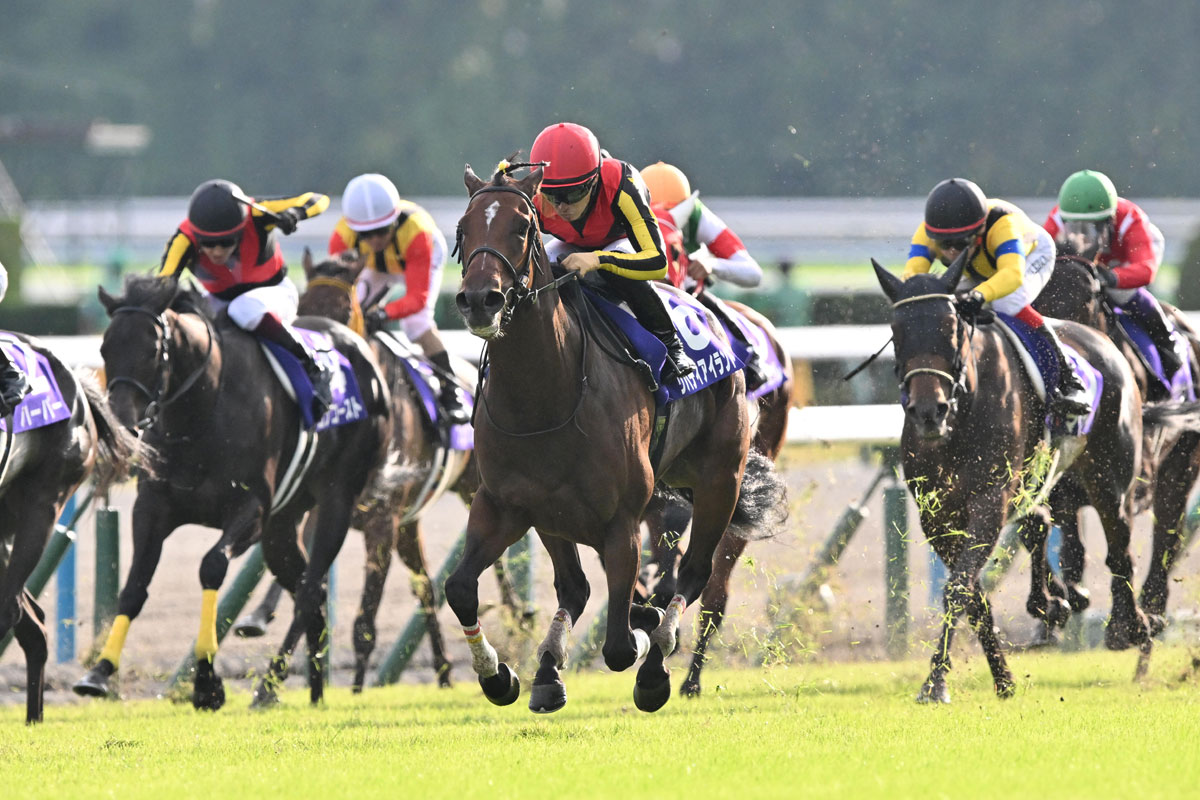 秋華賞】リバティアイランドは古馬を相手にどこまでやれるか 2着以下