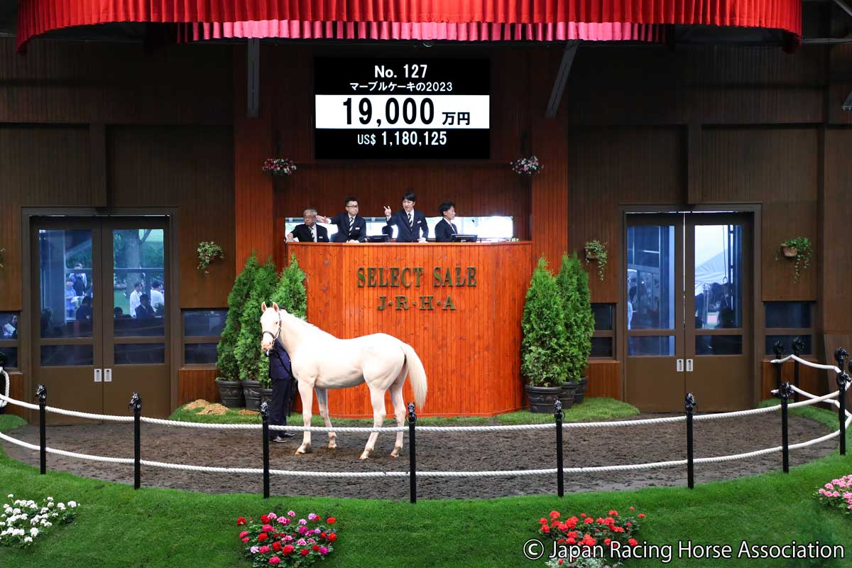 セレクトセール2024】藤田晋氏が5億9000万円ホースで競り