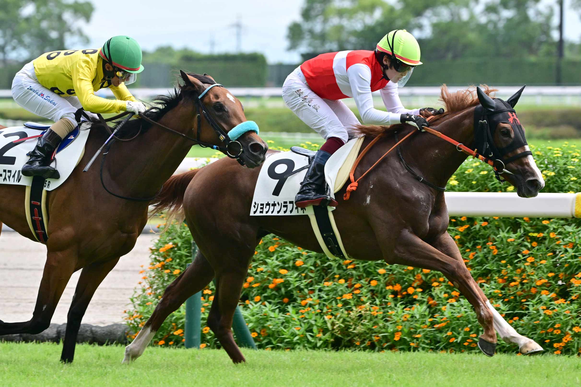 10番人気のショウナンラフィネが逃げ切り勝ち 鮫島駿「折り合いも