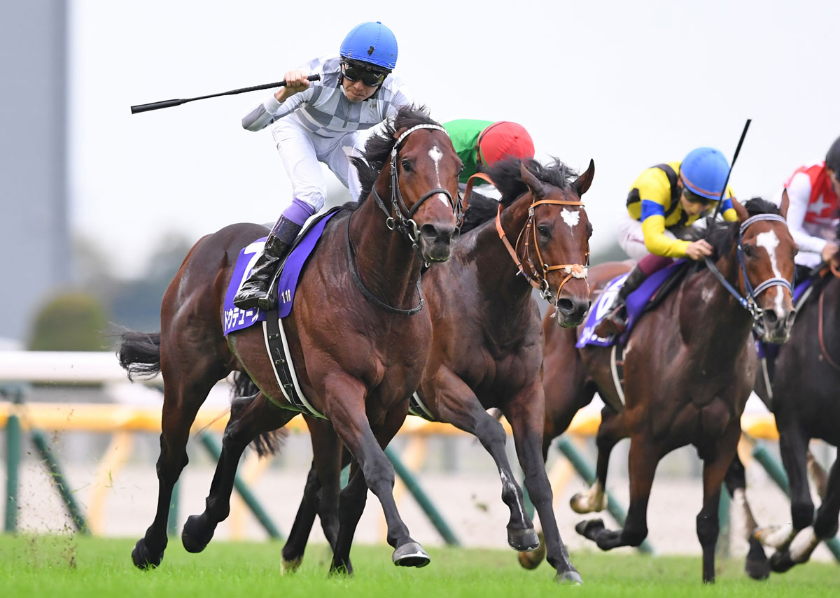 記者のベストレース2024】ドウデュースへ心からの〝ありがとう