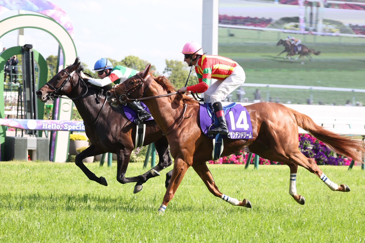 天皇賞春】ヘデントールがGⅠ初制覇 ビザンチンドリームとの叩き合い