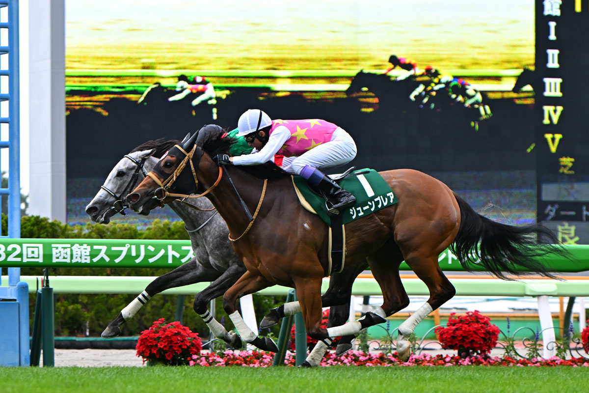 函館スプリントステークス結果＆コメント】カピリナ重賞初V 戸崎圭太