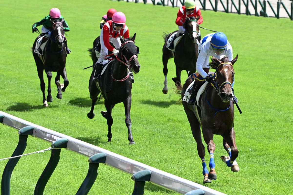 プリティーミズホが芝で一変 好時計の圧勝劇に三浦皇成「スピードの