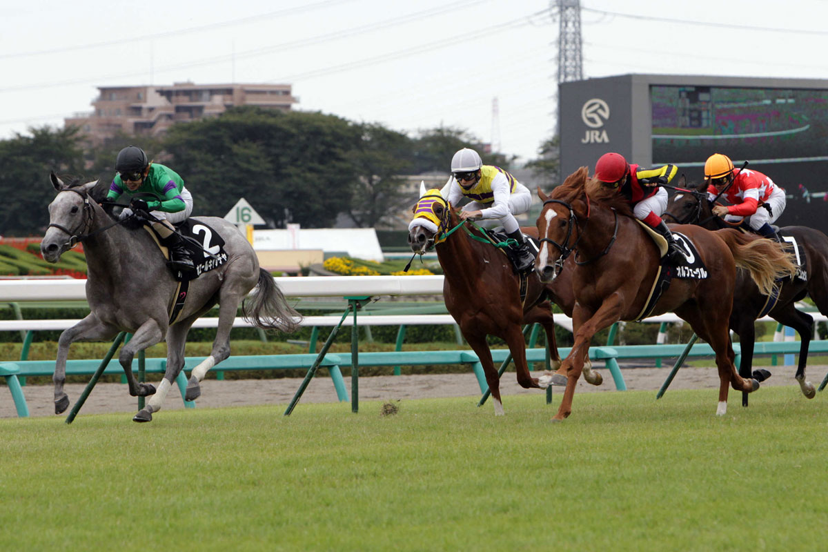 凱旋門賞直前！緊急連載・金色の3冠馬②】オルフェーヴル 2戦目から