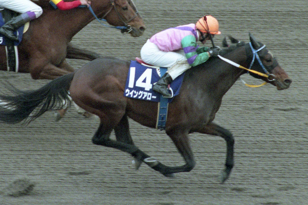 2000年フェブラリーS】ペリエとの出会いで覚醒！ウイングアローの