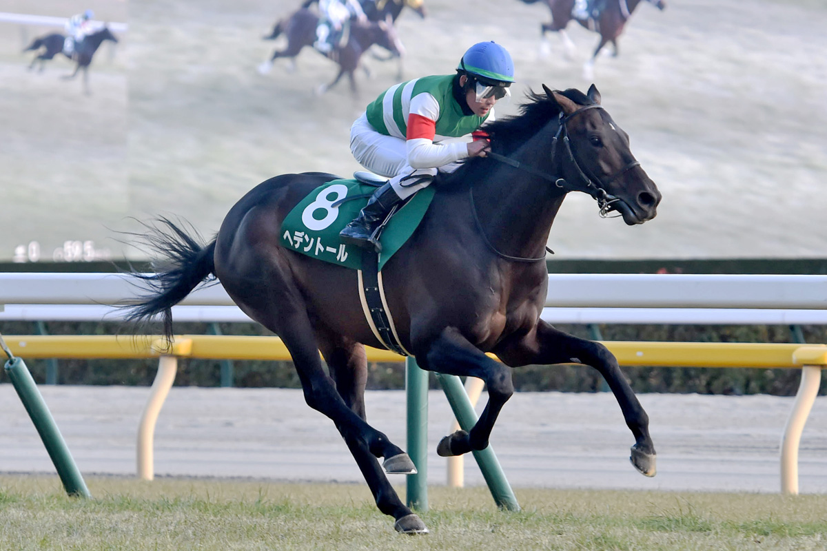 ダイヤモンドS】ヘデントールが4馬身差で完勝 天皇賞・春に向けて得