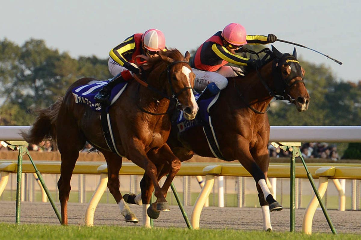 追悼秘話】「勝ったのはジェンティルドンナ。それしかないんやから