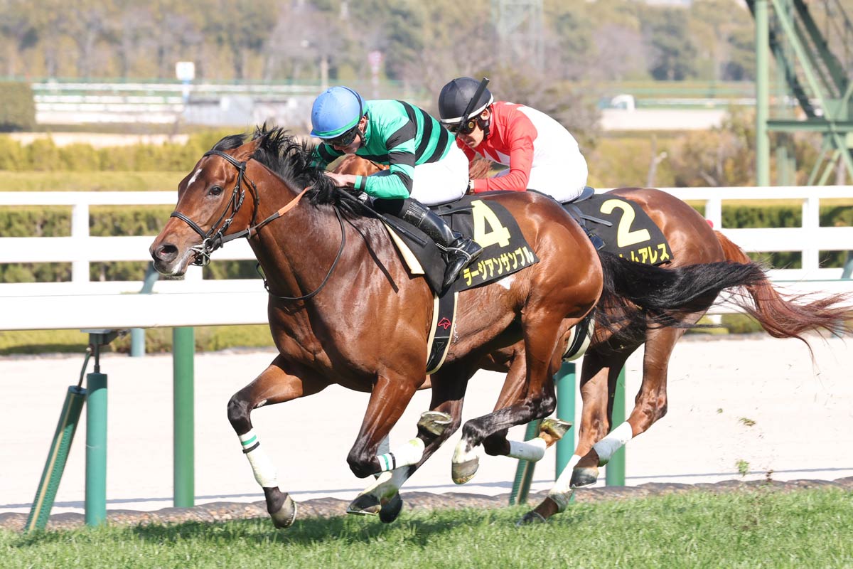 アネモネS・過去5年データ】「前走重賞組」は不振傾向 わずか1連対