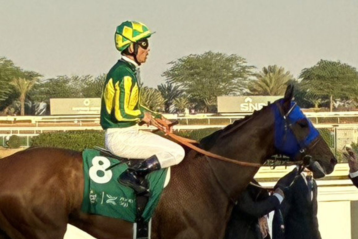 10番人気のショウナンラフィネが逃げ切り勝ち 鮫島駿「折り合いも