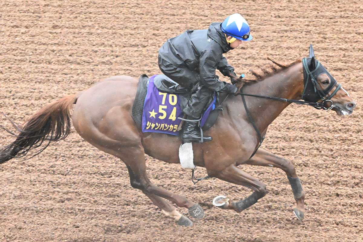 10番人気のショウナンラフィネが逃げ切り勝ち 鮫島駿「折り合いも
