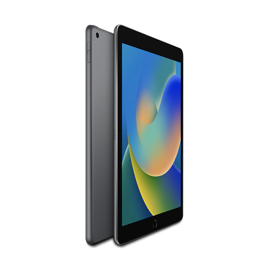 2021 Apple iPad 9 256GB WiFi Only 10.2