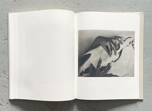 古書古本 Totodo：GEORGIA O'KEEFFE A PORTRAIT BY ALFRED STIEGLITZ