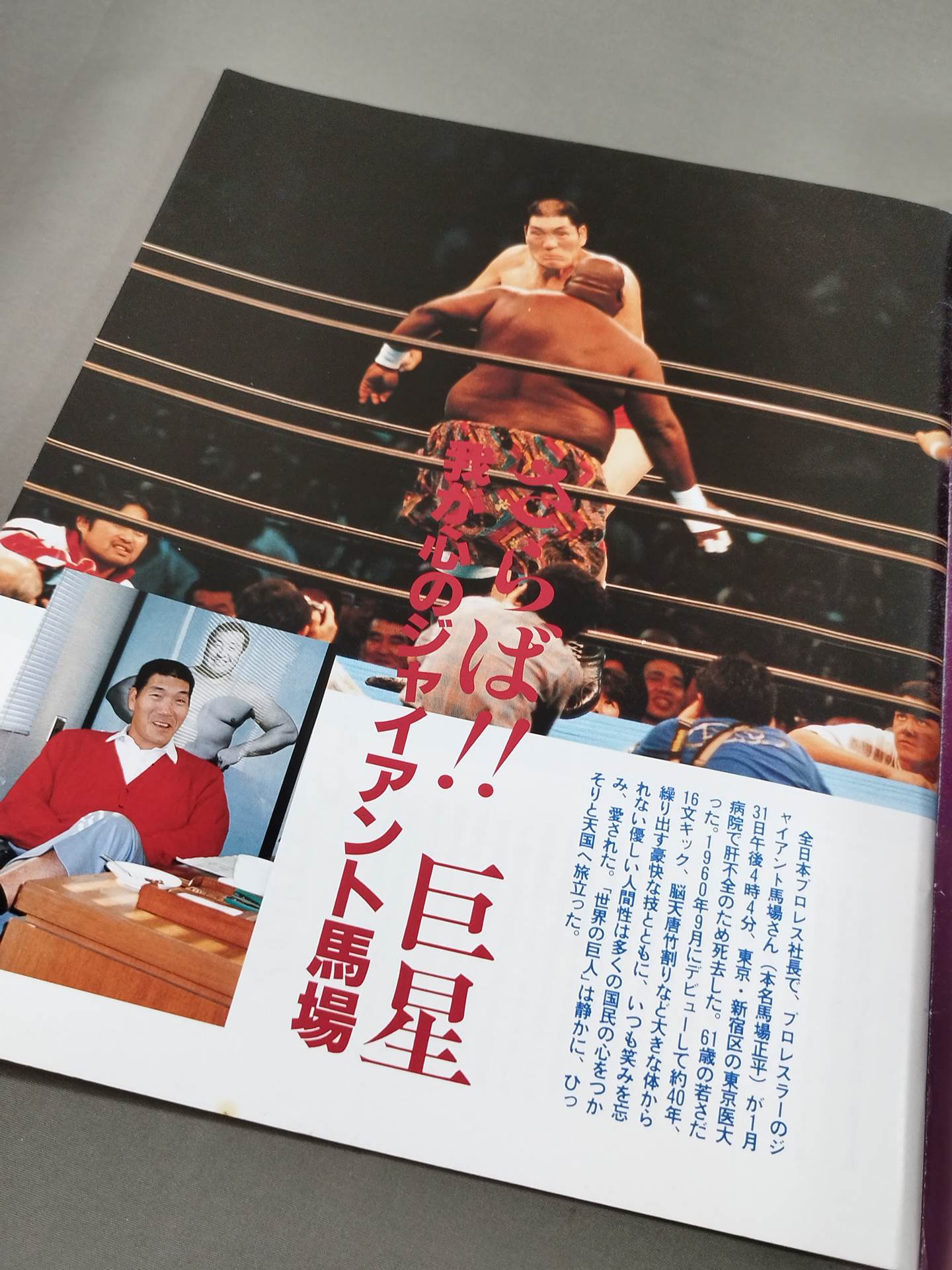 我が心のジャイアント馬場 日刊スポーツグラフ – 闘道館