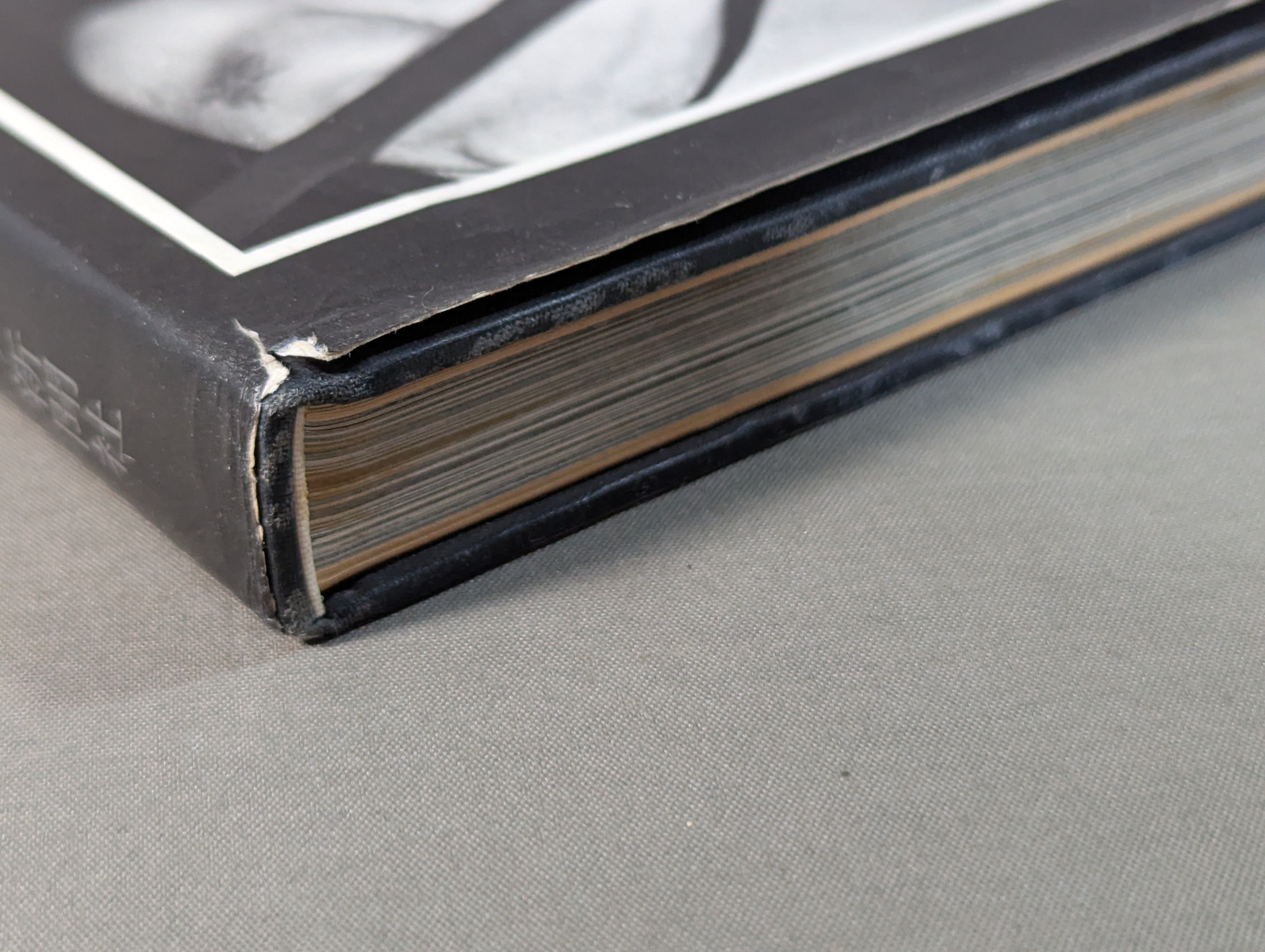 プロレスの鬼 力道山写真集 – 闘道館