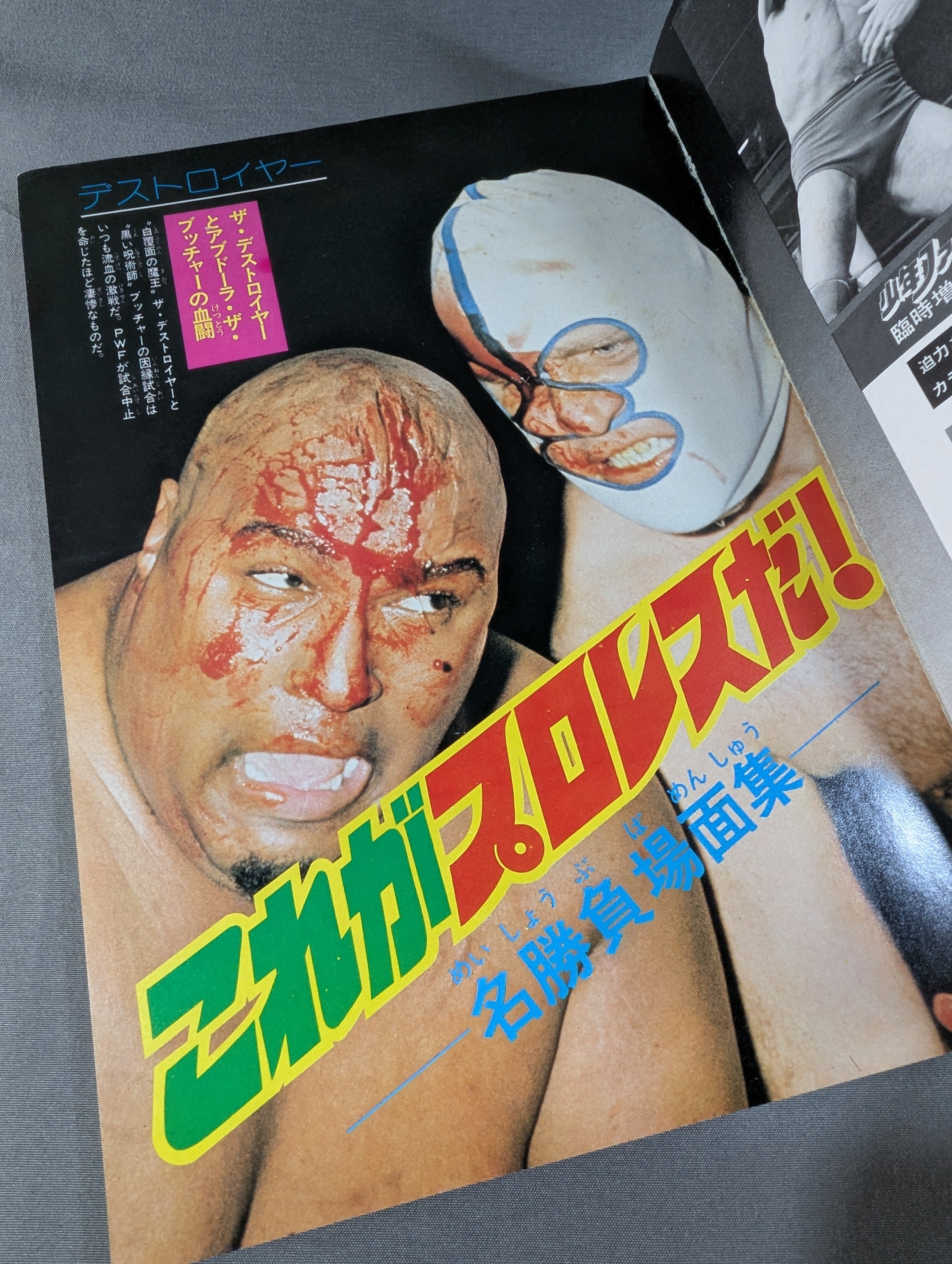 少年ファン臨時増刊号 プロレス大特集! – 闘道館