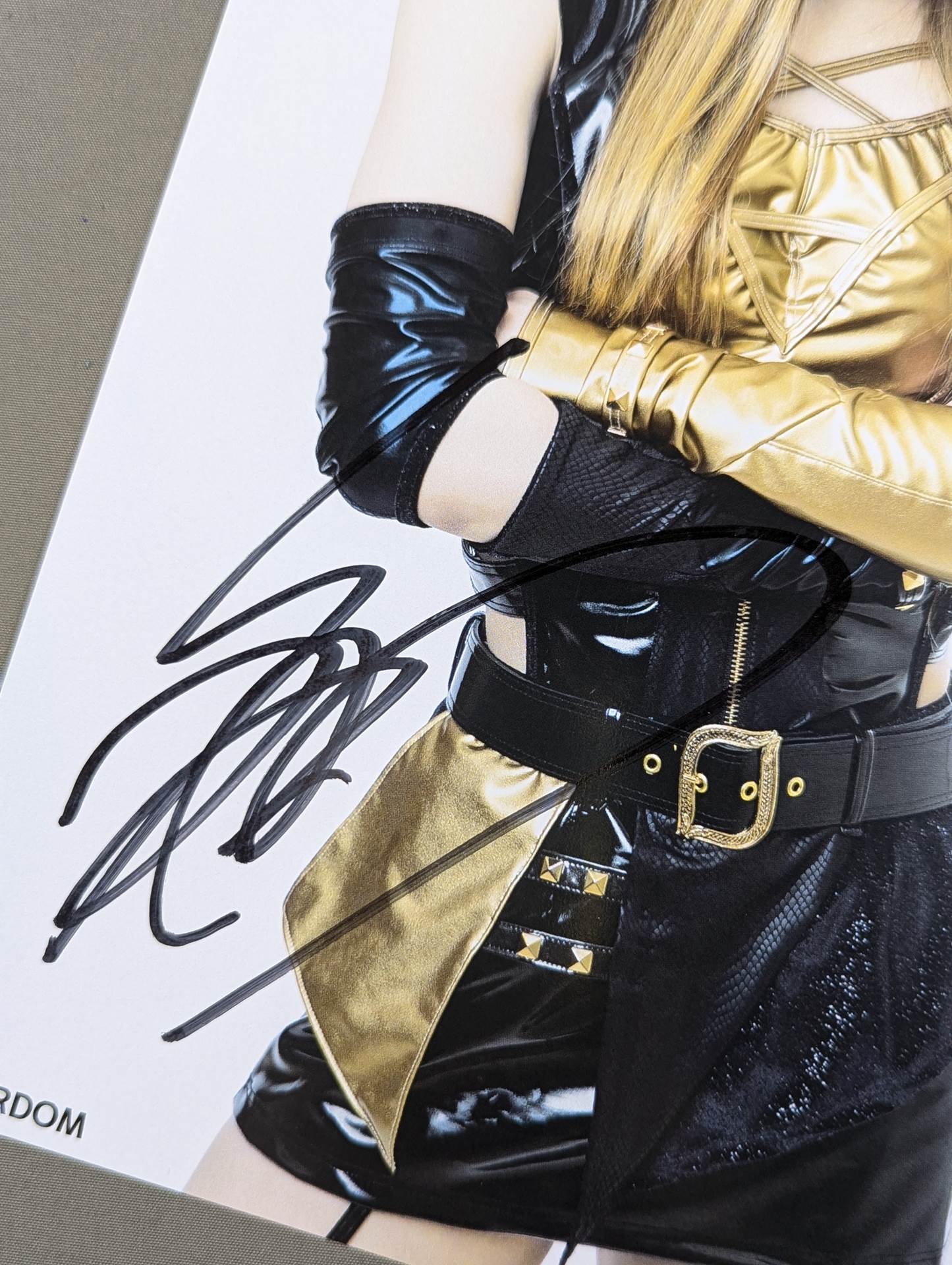 スターダム 鹿島沙希 実使用マスク 直筆サイン STARDOM 女子プロレス