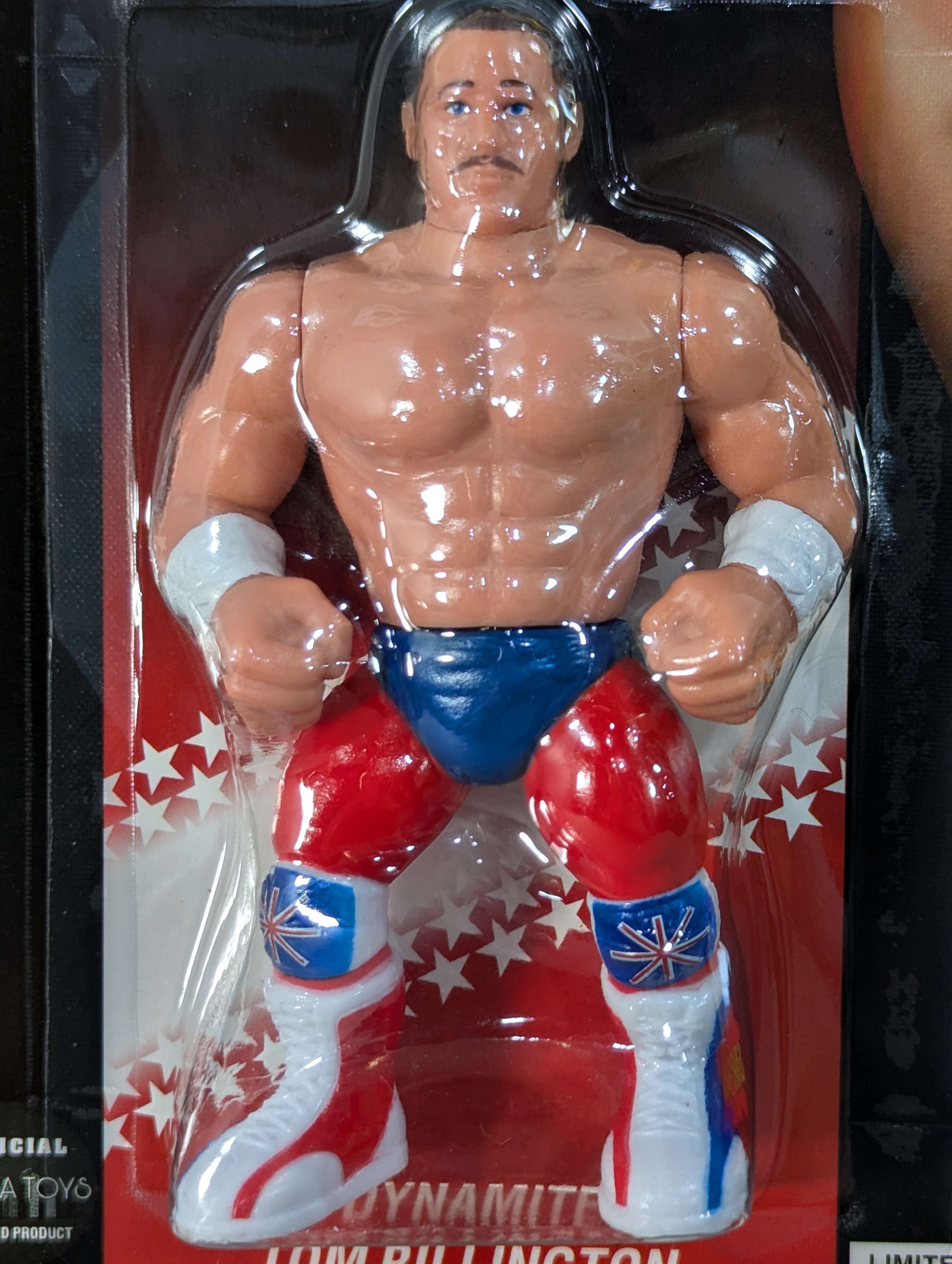 ダイナマイト・キッド / トム・ビリントン (Wrestling Megastars) – 闘道館