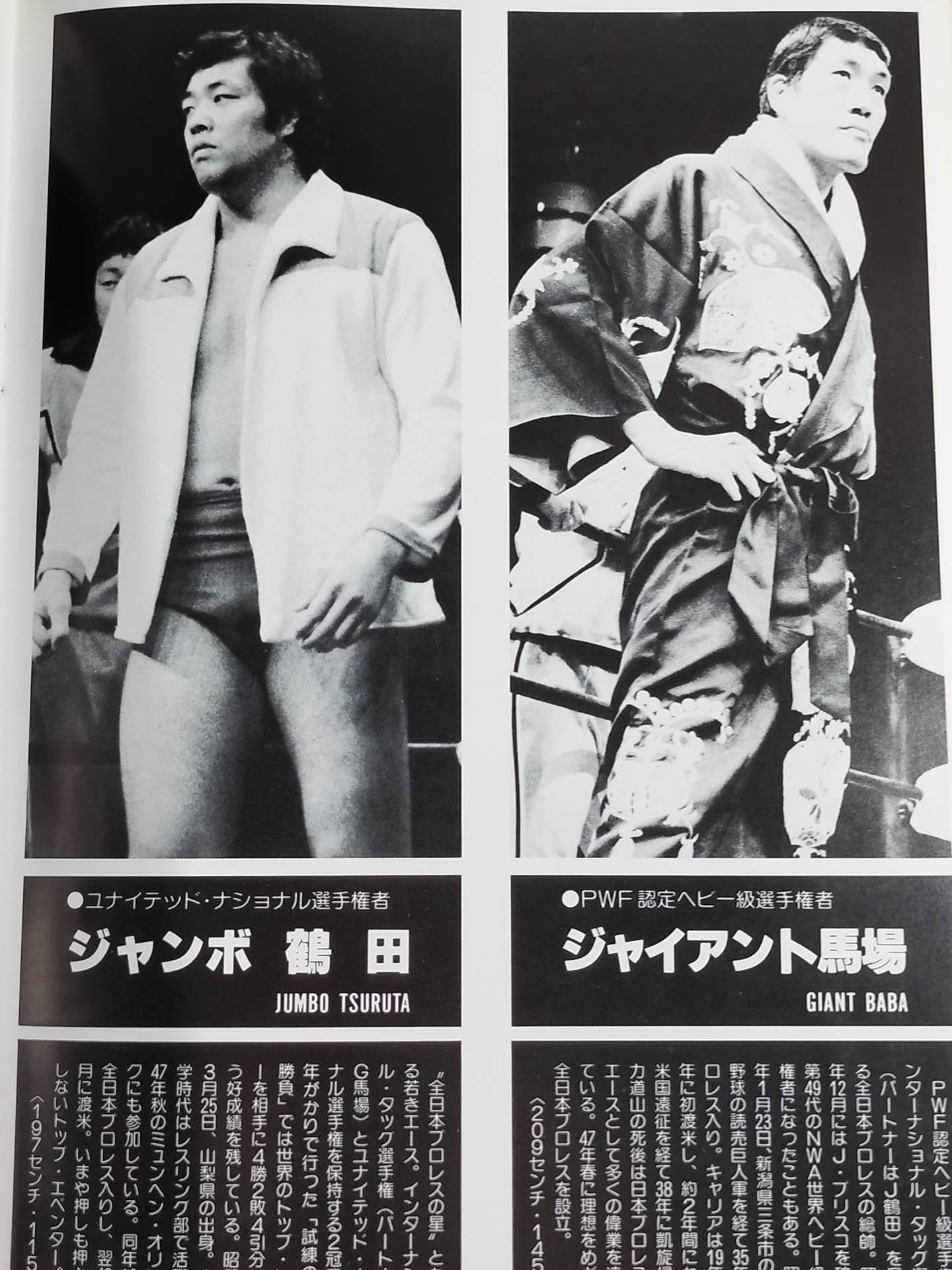 ☆プロレス夢のオールスター戦☆ 東京スポーツ新聞社創立20周年記念