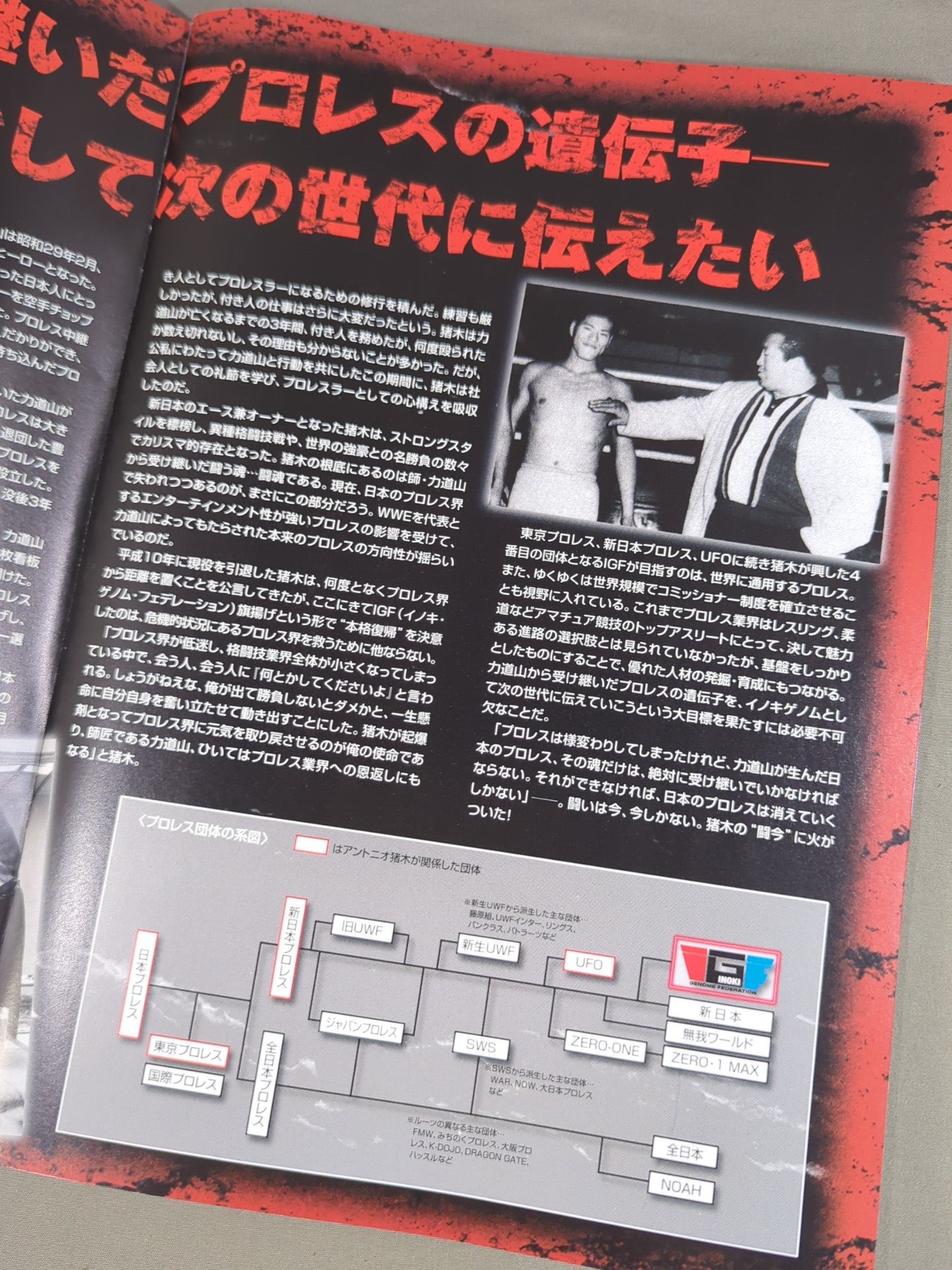 ☆旗揚げ戦☆ IGF / 闘今 BOM-BA-YE – 闘道館