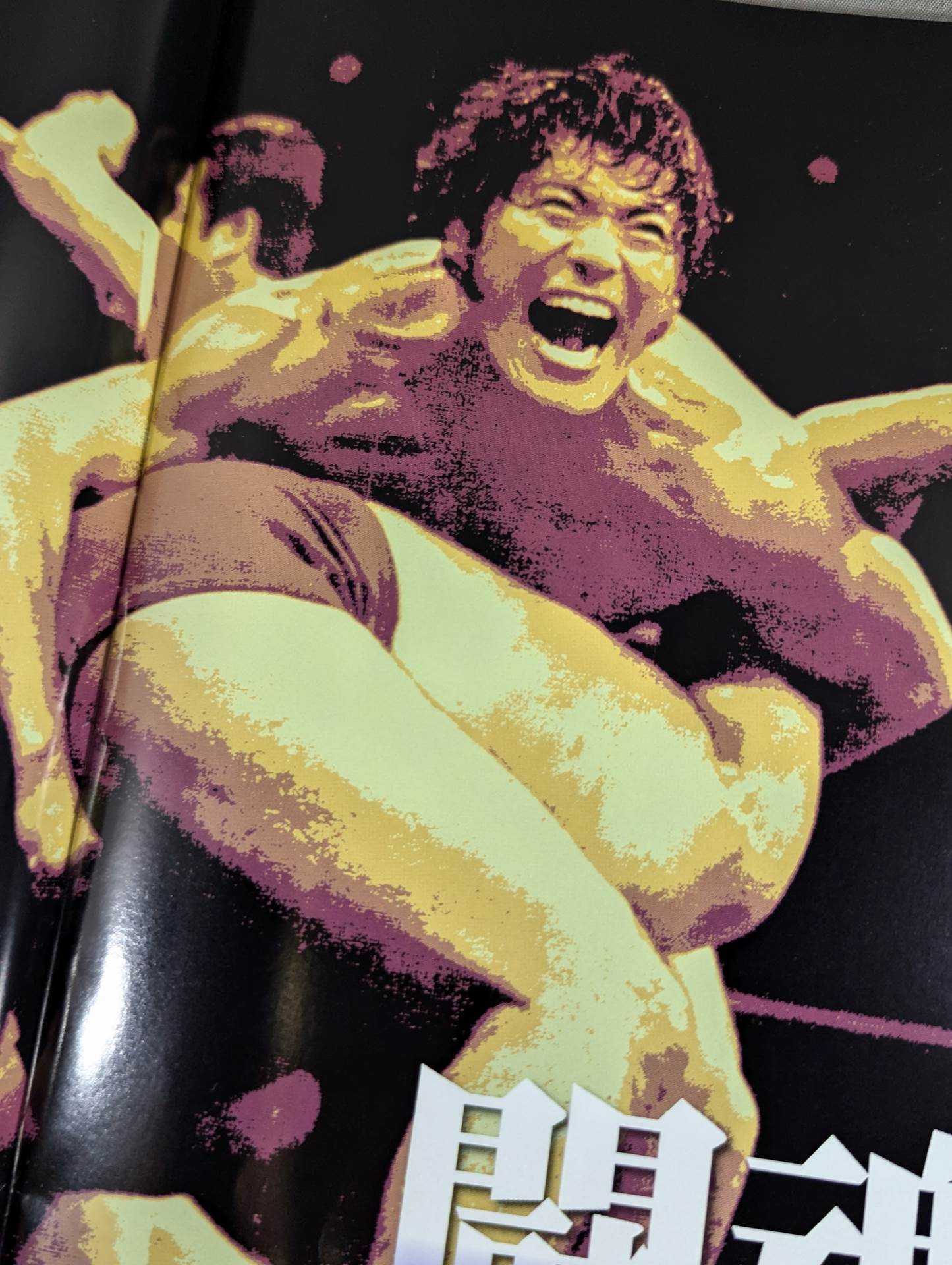 ☆燃える闘魂 アントニオ猪木引退試合☆ FINAL THE INOKI – 闘道館