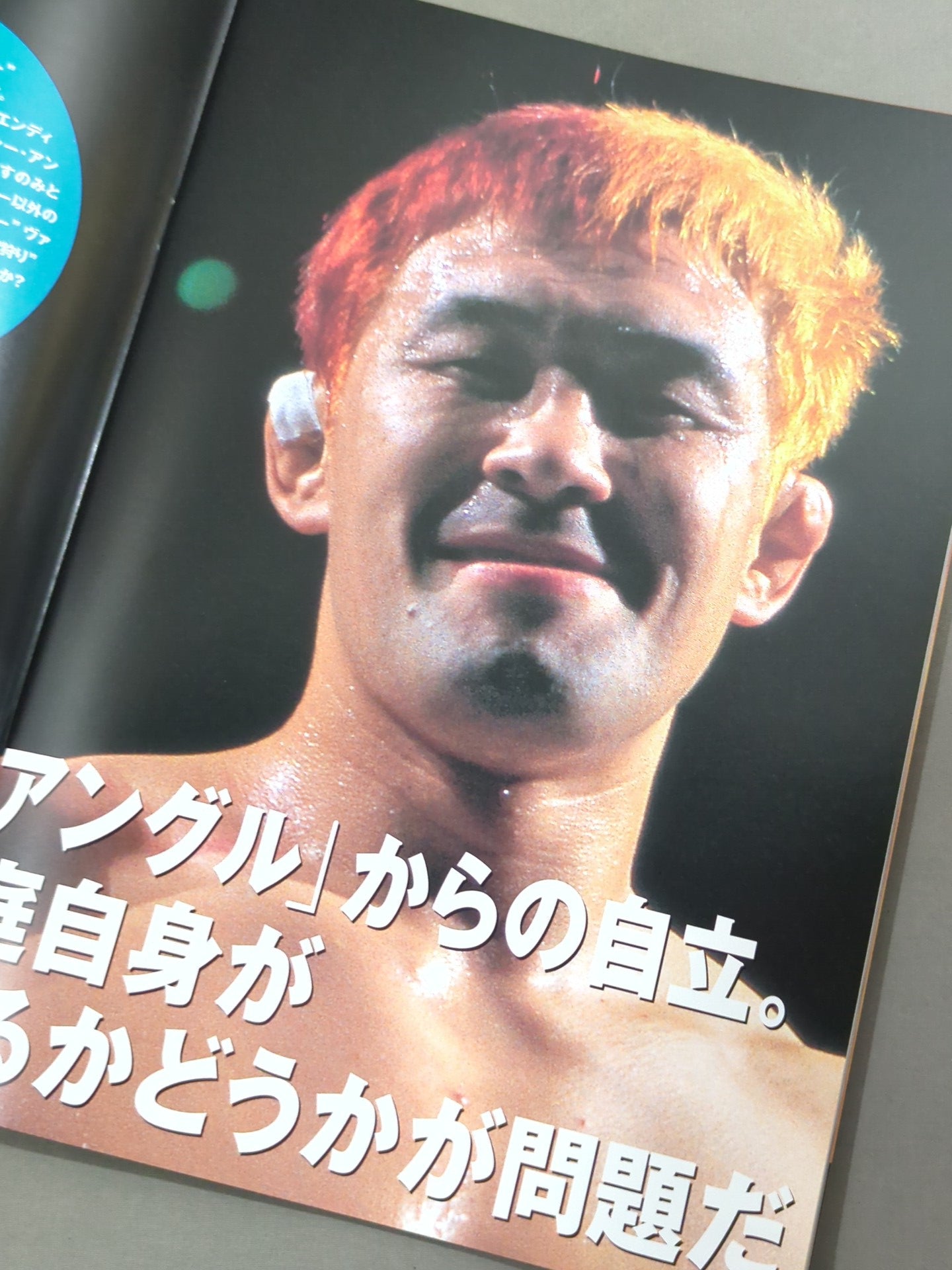 PRIDE.13 – 闘道館