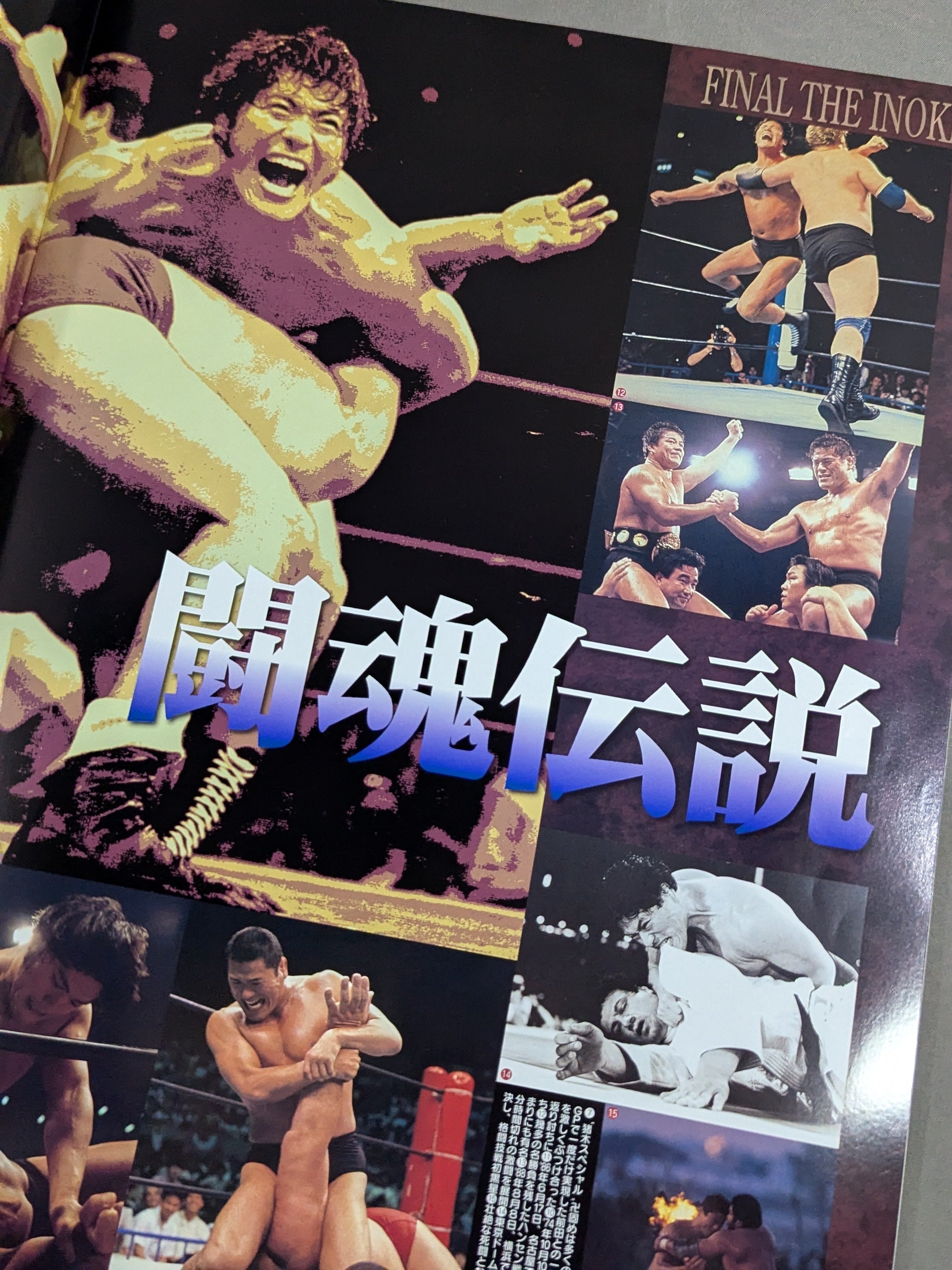 ☆燃える闘魂 アントニオ猪木引退試合☆ FINAL THE INOKI – 闘道館