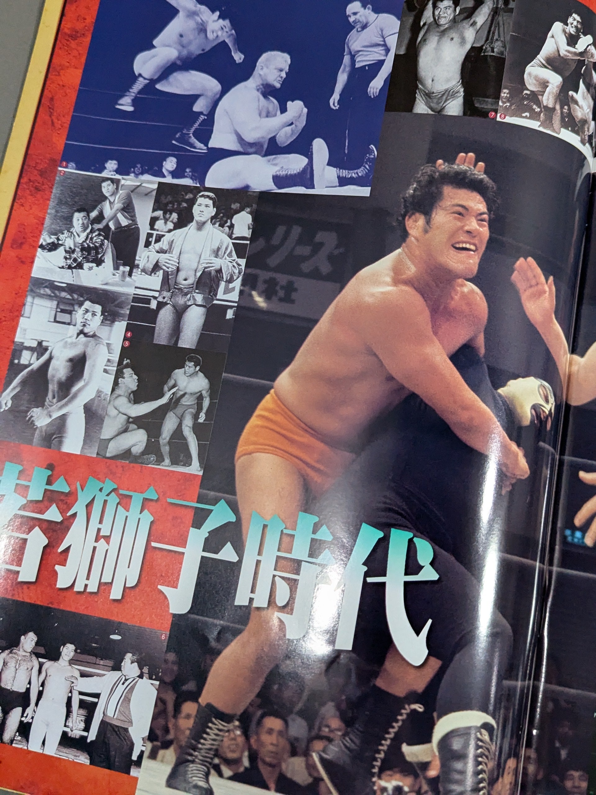 ☆燃える闘魂 アントニオ猪木引退試合☆ FINAL THE INOKI – 闘道館